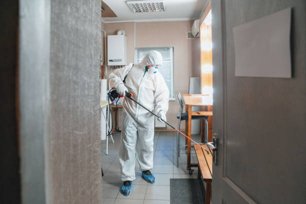 Mold Remediation for Vacation Homes in Sorgho, KY